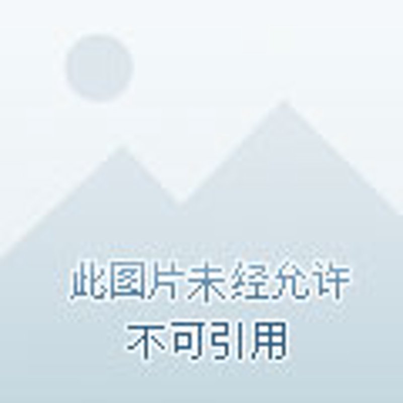 公路桥梁施工选购指南：打造稳固安全的交通动脉